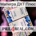 Малегра ДХТ Плюс kamagra1